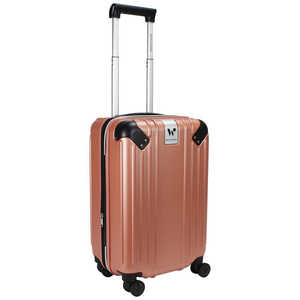 ACE World Traveler ޥ륺 30-40L TSAåܡ ƥ饳å WORLD434114