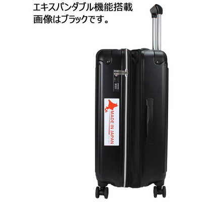 ACE スーツケース World Traveler ワールドトラベラー マイルズ 拡張