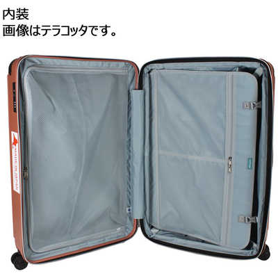 ACE スーツケース World Traveler ワールドトラベラー マイルズ 拡張