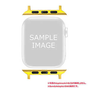 LEAD Apple Watch用 バンドアダプター44mm用 ゴールド L07AWBAD44 GW
