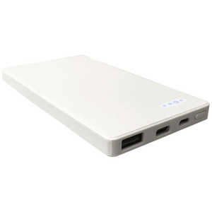 リーダーメディアテクノ モバイルバッテリー 5000mAh 2ポート  L-M5C-W ホワイト