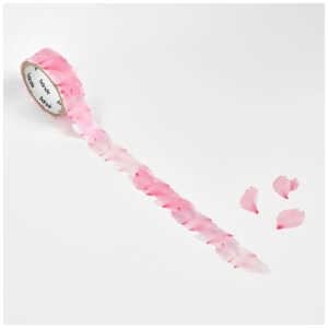 BANDE ̉Ԃт  BDA674