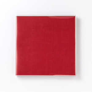 いろは出版 4 you color album red GA401 いろは出版 4 you color album red GA401