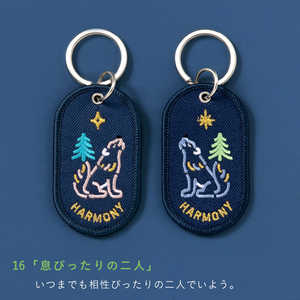 Ͻ 2/8b PAIR KEY RING HARMONY GKBA16