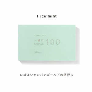 いろは出版 present book 一緒にしたいこと100 ice mint BI10005 いろは出版 present book 一緒にしたいこと100 ice mint BI10005