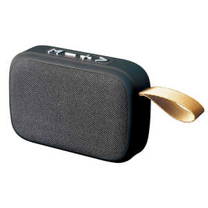 Audin sound SP-26 KABS-026B