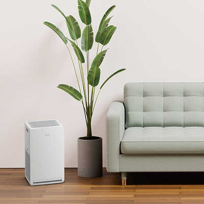 ダイキン DAIKIN 空気清浄機 ストリーマ 空気清浄:25畳まで PM2