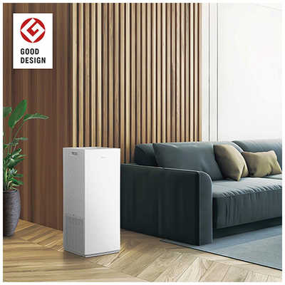 ダイキン DAIKIN 加湿空気清浄機 ストリーマ 空気清浄～31畳目安 加湿 