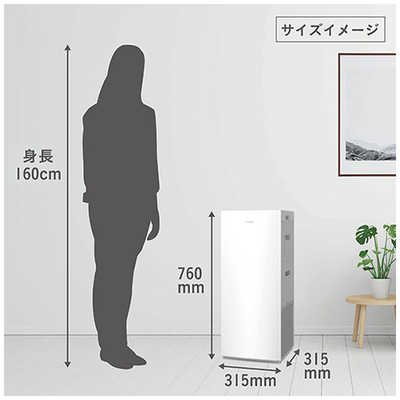 ダイキン DAIKIN 加湿空気清浄機 ストリーマ 空気清浄～31畳目安 加湿