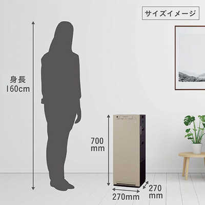 ダイキン DAIKIN 加湿空気清浄機 ストリーマ 空気清浄:25畳まで 加湿