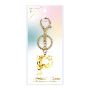 PGA アルファベットチャーム Premium Style プルート PG-DCM05PLT PGA アルファベットチャーム Premium Style プルート PG-DCM05PLT