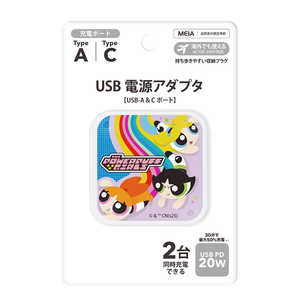 PGA USB �d���A�_�v�^�[ Premium Style �p���[�p�t�K�[���Y PG-WPD20AC04PPG