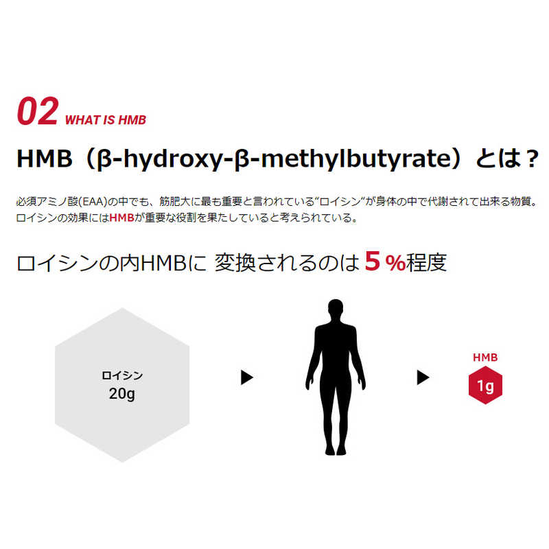 DNS DNS DNS HMB TABLET エイチエムビー タブレット【360mg×180粒】  