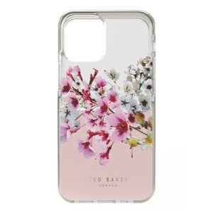 TEDBAKER Anti-shock Case for 2021 iPhone 6.1-inch [ Jasmine Clear Pink ] 83519