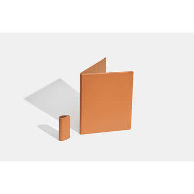 FOX BOOX - Magnetic Case Cover for Go 10.3 ［ Orange ］ BOOX