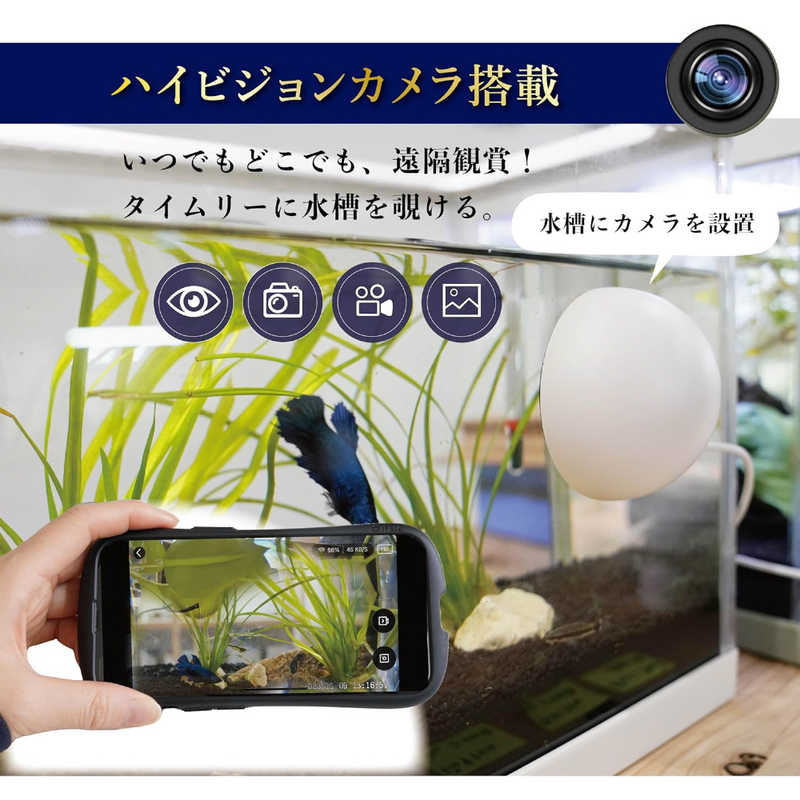 SAWADA SAWADA カメラ・スマホ連携機能付自動給餌器 TOMONARI TOMOFF01 TOMOFF01