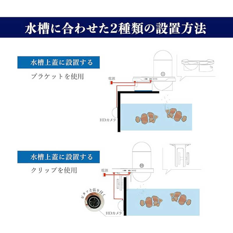 SAWADA SAWADA カメラ・スマホ連携機能付自動給餌器 TOMONARI TOMOFF01 TOMOFF01