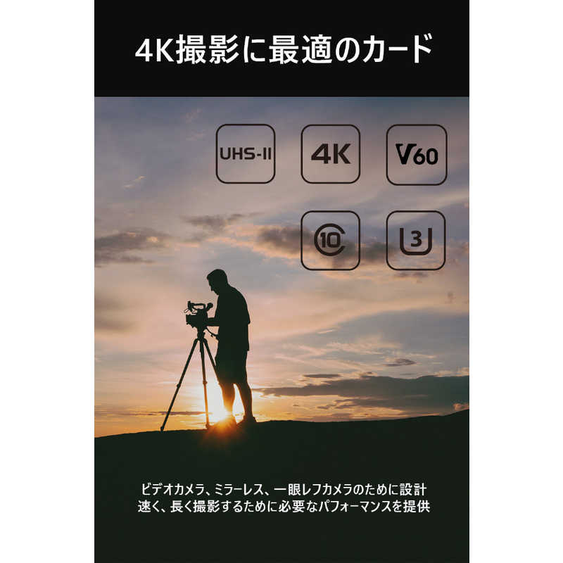 SUNEAST SDXCカード SUNEAST ULTIMATE PRO(アルティメイトプロ) [Class10 /64GB] SE- SDU2064GC280 の通販 | カテゴリ：カメラ・ビデオカメラ | SUNEAST 家電通販のコジマネット - 全品代引き手数料無料