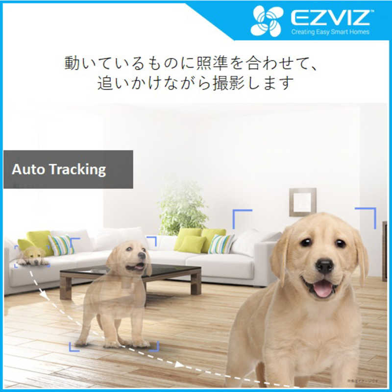 EZVIZ EZVIZ 屋内用見守り防犯カメラ パンチルトタイプ CSC6 CSC6
