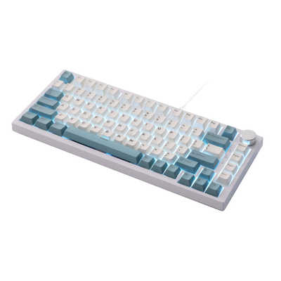 SUNEAST Do EvoKeys 82 ゲーミングキーボード ラピッドトリガー対応