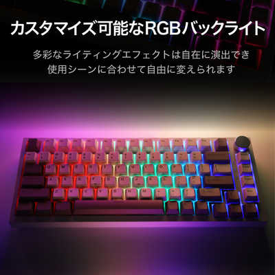 SUNEAST Do EvoKeys 82 ゲーミングキーボード ラピッドトリガー対応