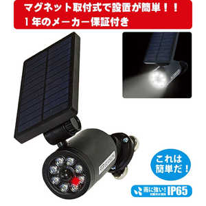 ACK[c[ \[ZT[C J^Cv EDS0796MN EDS-0796MN