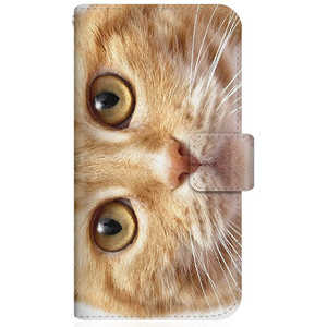 CASEMARKET Google Pixel 5 NYAGO スリム手帳型ケース ノート キュート 甘えんぼう 茶トラ ペロペロするにゃ~｡ 猫 お目々 らんらん にゃ にゃんだ? G5NZ6-BNG2S2755-78
