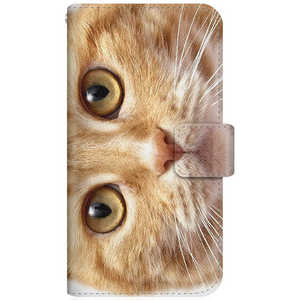 CASEMARKET AQUOS wish NYAGO スリム手帳型ケース ノート キュート 甘えんぼう 茶トラ ペロペロするにゃ?。 猫 お目々 らんらん にゃ にゃんだ A104SH-BNG2S2755 CASEMARKET AQUOS wish NYAGO スリム手帳型ケース ノート キュート 甘えんぼう 茶トラ ペロペロするにゃ?。 猫 お目々 らんらん にゃ にゃんだ A104SH-BNG2S2755