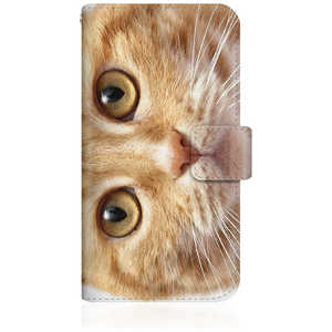 CASEMARKET iPhone 15 Plus スリム手帳型ケース ノート キュート 甘えんぼう 茶トラ ペロペロするにゃ?。 猫 お目々 らんらん にゃ にゃんだ? NYAGO iPhone15p- CASEMARKET iPhone 15 Plus スリム手帳型ケース ノート キュート 甘えんぼう 茶トラ ペロペロするにゃ?。 猫 お目々 らんらん にゃ にゃんだ? NYAGO iPhone15p-
