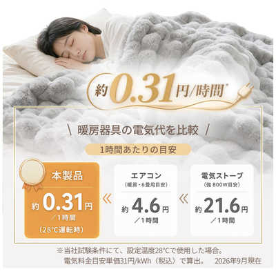 TOKAIZ 電気毛布 Lサイズ 130×190cm 丸洗い 10段階温度調節 12段階