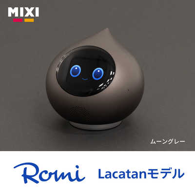Romi Lacatanモデル 初期設定マニュアル付き ミクシィ 会話AIロボット
