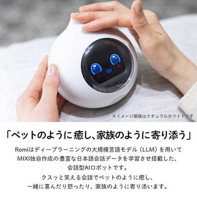 ミクシィ 会話AIロボットRomi Lacatanモデル ムーングレー ROMI-L01GY