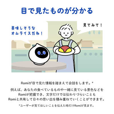 ミクシィ 会話AIロボットRomi Lacatanモデル ムーングレー ROMI-L01GY