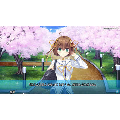 ブシロード Switchゲームソフト D.C. Re：tune ～ダ・カーポ