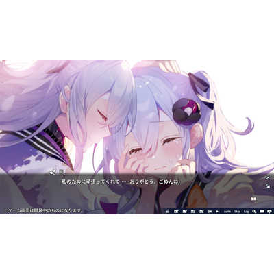 ブシロード Switchゲームソフト 花束を君に贈ろう-Kinsenka- HAC-P
