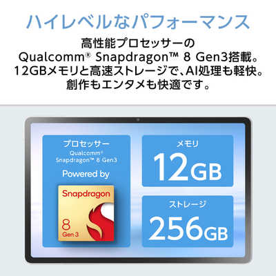 NEC タブレット LAVIE Tab EX TX117/LAS PC-TX117LAS [シーシェル] PC