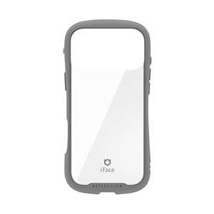 HAMEE �miPhone 18 Pro Max / 17 Pro Max��p�niFace Reflection�����K���X�N���A�P�[�X �O���[ 41-194489