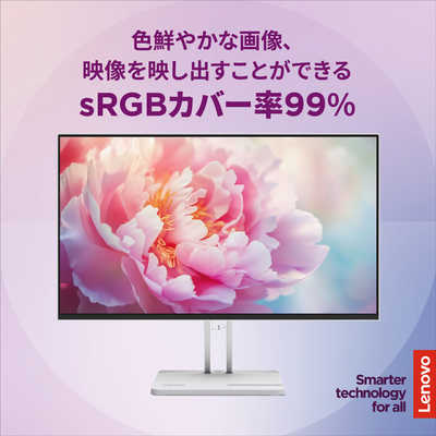 レノボジャパン Lenovo L24-4C モニター ［23.8型 / フルHD(1920×1080