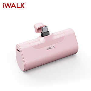 IWALK iWALK ノーマルピンク iWALK ［USB Power Delivery対応 /1ポート］ ピンク RS-DBL4500C-PI
