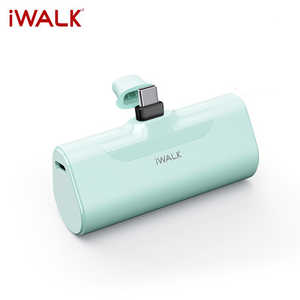 IWALK iWALK ノーマルグリーン iWALK ［USB Power Delivery対応 /1ポート］ グリーン RS-DBL4500C-GR