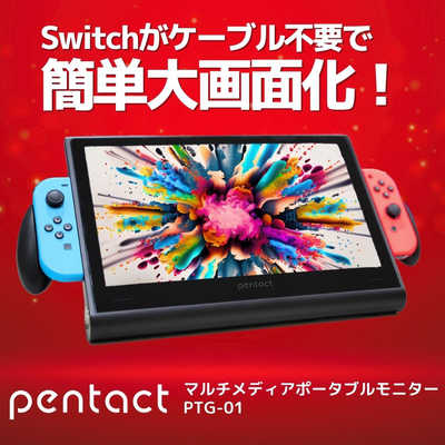 【訳アリ極美品A】pentact マルチメディアポータブルモニター ピーアンドジー PENTACT マルチメディアポータブルモニター