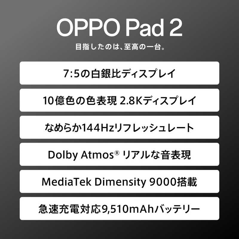 OPPO OPPO Androidタブレット Pad 2 グレー  OPD2202GY OPD2202GY