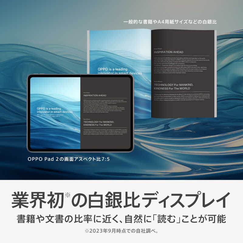 OPPO OPPO Androidタブレット Pad 2 グレー  OPD2202GY OPD2202GY
