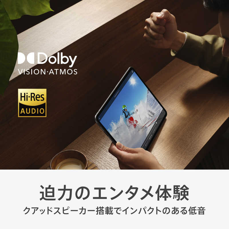OPPO OPPO Androidタブレット Pad 2 グレー  OPD2202GY OPD2202GY