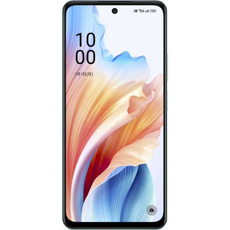 OPPO OPPO SIMフリースマートフォン OPPO A79 5G 6.7インチ  メモリ/ストレージ：4GB/128GB グローグリーン CPH2557GR CPH2557GR