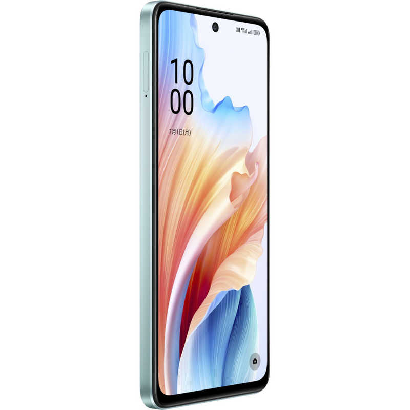 OPPO OPPO SIMフリースマートフォン OPPO A79 5G 6.7インチ  メモリ/ストレージ：4GB/128GB グローグリーン CPH2557GR CPH2557GR