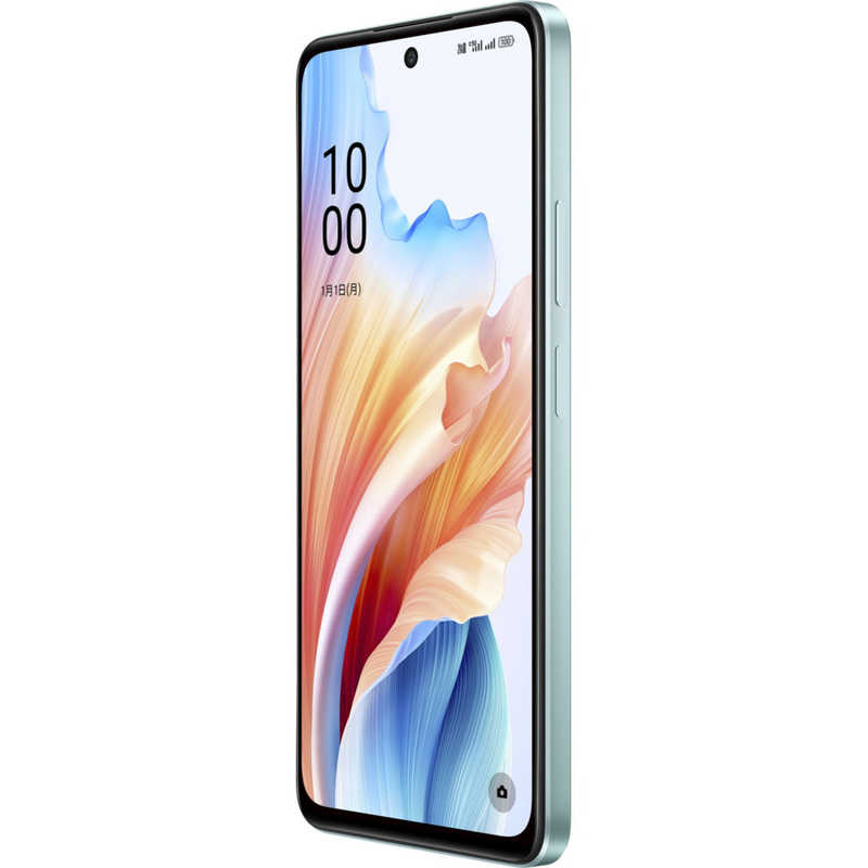 OPPO OPPO SIMフリースマートフォン OPPO A79 5G 6.7インチ  メモリ/ストレージ：4GB/128GB グローグリーン CPH2557GR CPH2557GR