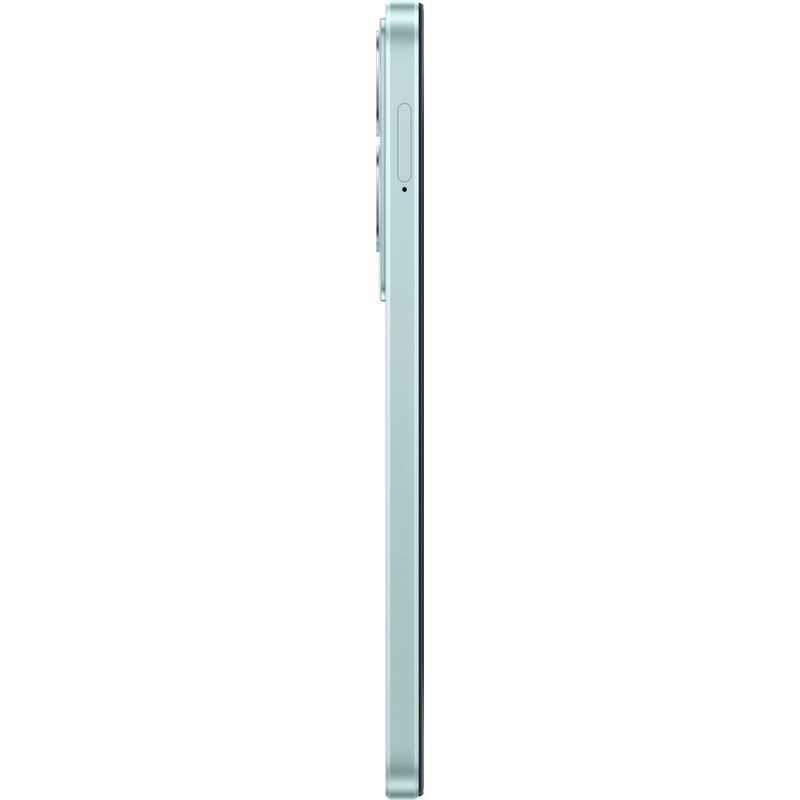 OPPO OPPO SIMフリースマートフォン OPPO A79 5G 6.7インチ  メモリ/ストレージ：4GB/128GB グローグリーン CPH2557GR CPH2557GR