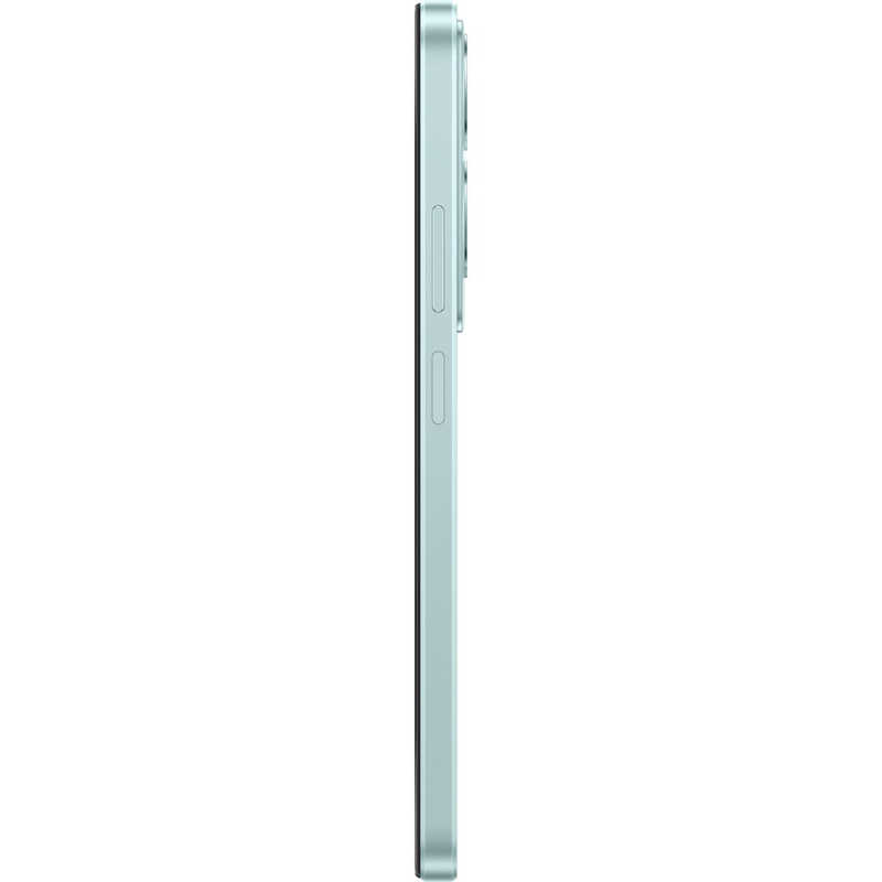 OPPO OPPO SIMフリースマートフォン OPPO A79 5G 6.7インチ  メモリ/ストレージ：4GB/128GB グローグリーン CPH2557GR CPH2557GR
