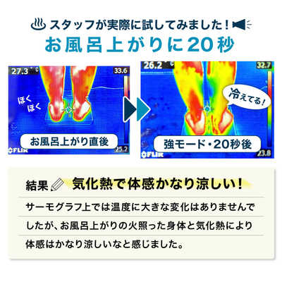 サンコー お風呂あがり全身爽快乗れる扇風機「のれせん